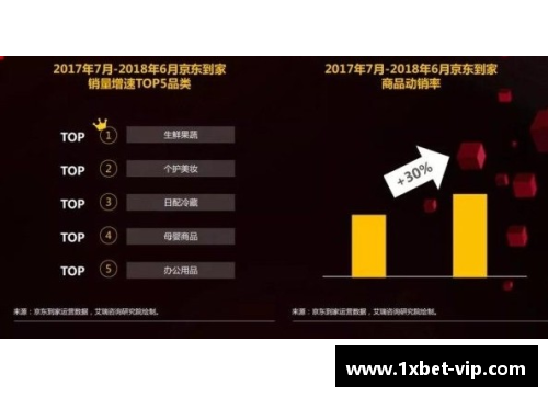 深度解析DVPE球员：技术、风格与未来展望