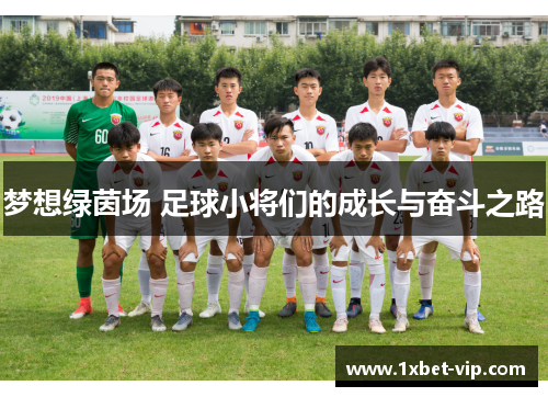 梦想绿茵场 足球小将们的成长与奋斗之路